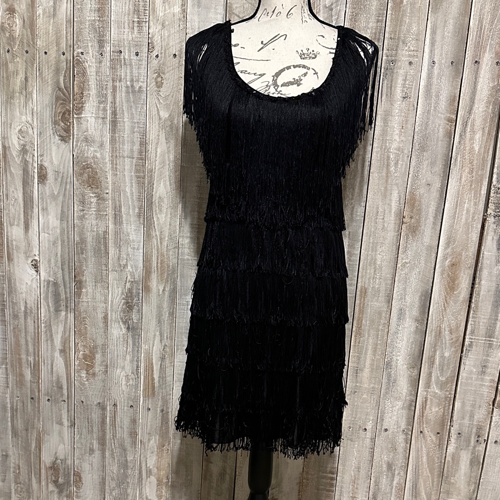 California Costumes Fringe Flapper Dress